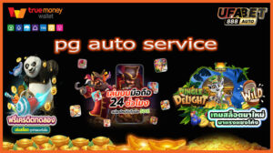 pg auto service