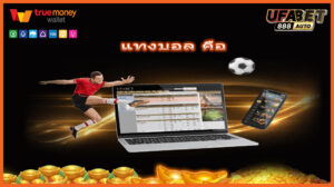 แทงบอล คือ