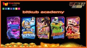 bitkub academy