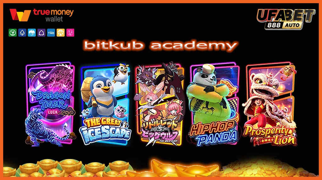 bitkub academy