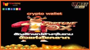 crypto wallet