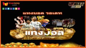 แทงบอล วอเลท